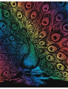 Rinkinys ARTFOIL RAINBOW povas PEACOCK