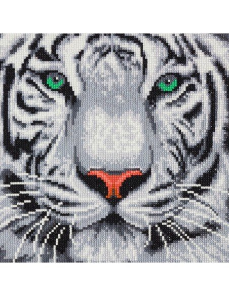 Rinkinys CRYSTAL ART Tigras 8m.+ įrėmintas, 30x30cm