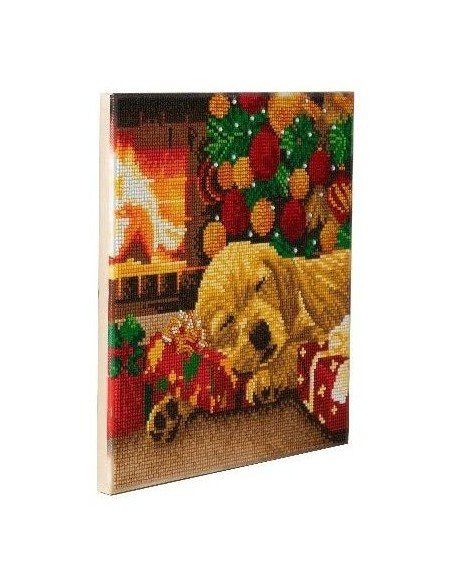 Rinkinys CRYSTAL ART Miegantis labradoras 8m.+ įrėmintas, 30x30cm