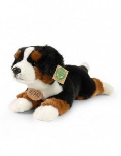Šuo Bernese Mountain dog, 32 cm