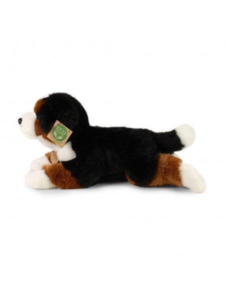 Šuo Bernese Mountain dog, 32 cm