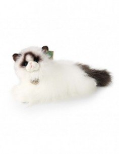 Katinas Ragdoll cat, 38 cm