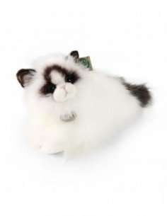 Katinas Ragdoll cat, 38 cm 2