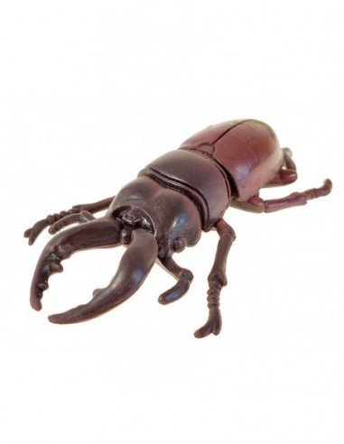 Rinkinys vabždžiai 6-7cm, 14 vnt