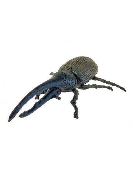 Rinkinys vabždžiai 6-7cm, 14 vnt
